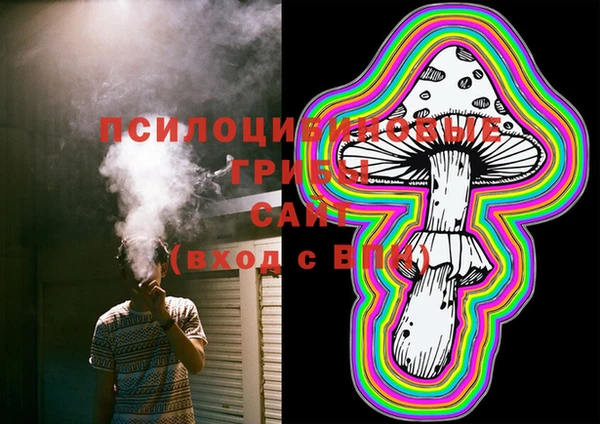 марки lsd Абаза